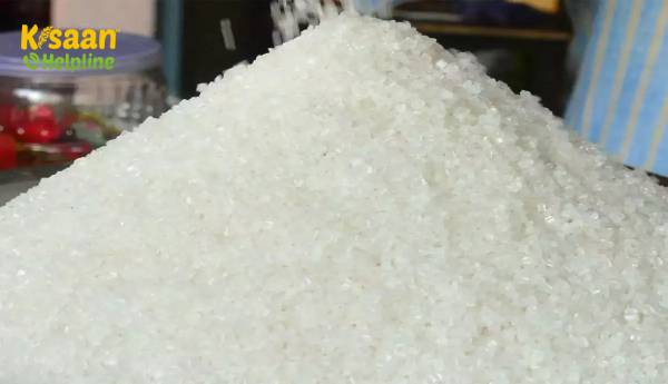 ISMA का कहना है कि भारत का 2020-21 तक चीनी उत्पादन 31 जनवरी तक 31% बढ़ा है